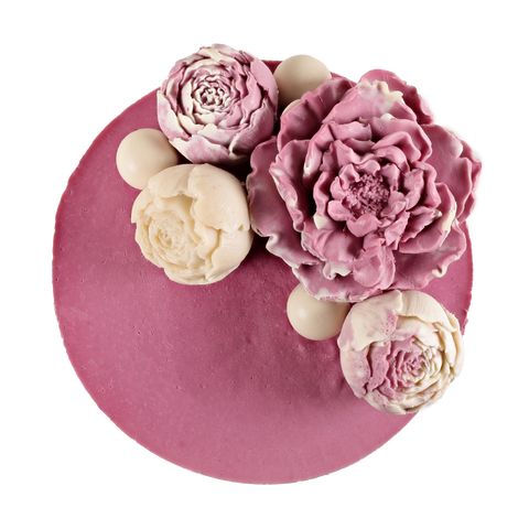 Plant-based Vegan Cake