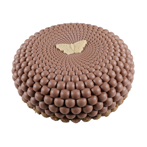 Plant-based Vegan Cake